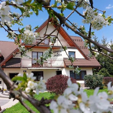 Czarna Jagoda Czarna Góra エクステリア 写真