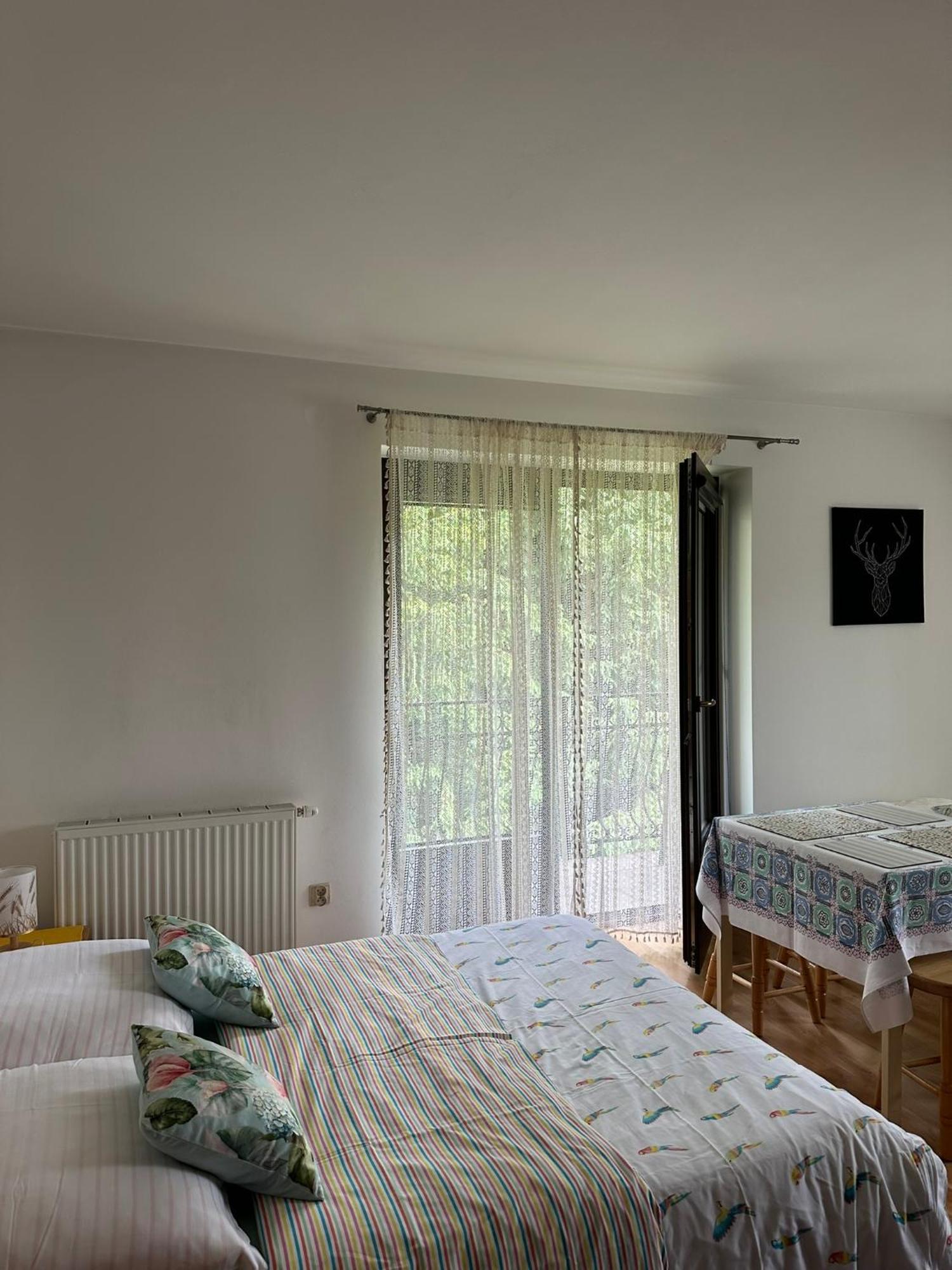 Czarna Jagoda Czarna Góra エクステリア 写真