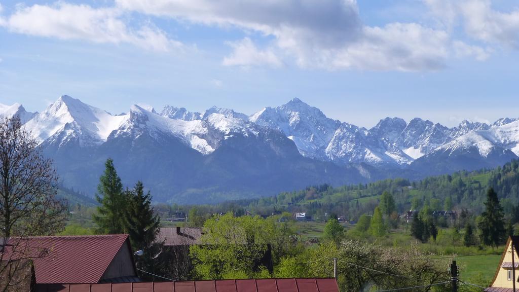 Czarna Jagoda Czarna Góra エクステリア 写真
